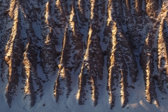 Snow and morning side light highlight erosion on a bank, Alberta, Canada