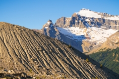 Glacial erosion patterns highlighted in afternoon light along the Iceline Trail, Yoho National Park, British Columbia, Canada