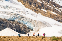 Five hikers beneath the Emerald Glacier on the Iceline Trail, Yoho National Park, British Columbia, Canada