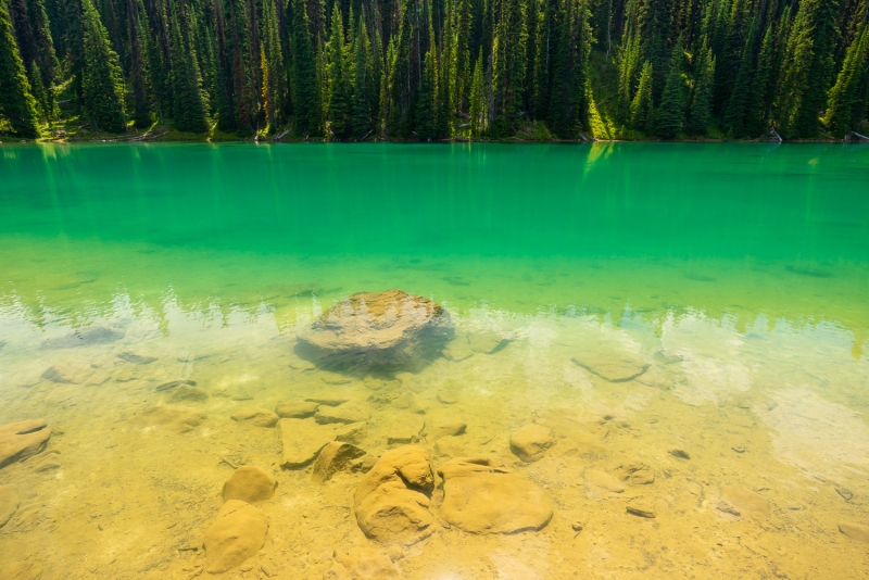 Celeste Lake near the Iceline Trail, Yoho National Park, British Columbia, Canada