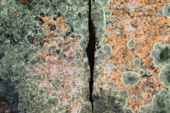 Rock abstract of lichen, Pelican Rapids, Alberta, Canada