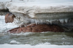 Hanging icicles along the Slave River, Pelican Rapids, Alberta, Canada