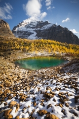 HIdden gems in Larch Valley, Banff National Park, AB, Canada