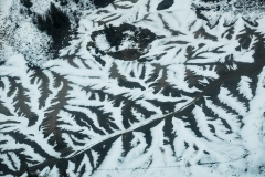 Melting snow patterns, Wood Buffalo National Park, Alberta, Canada