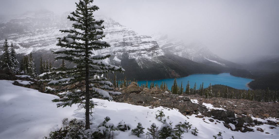 Peyto Lake's turquoise colour contrasts against a fresh snowfall during one of mountain photo tours 'Photo Tours in Banff in winter'.