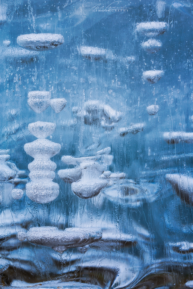 A cross section of ice with methane bubbles rising frozen inside it, Abraham Lake, Alberta, Canada